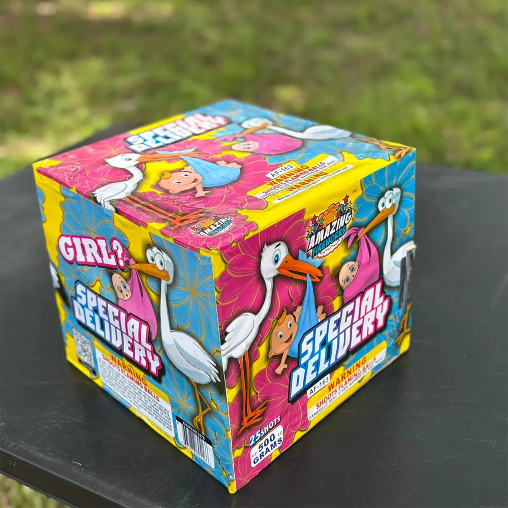 [702367265015] Special Delivery GIRL 163